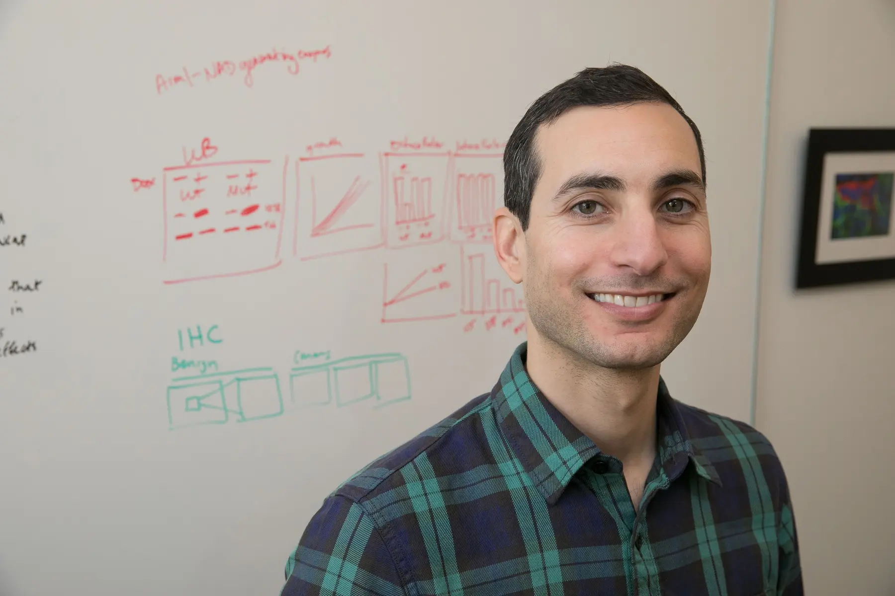 Andrew S. Goldstein