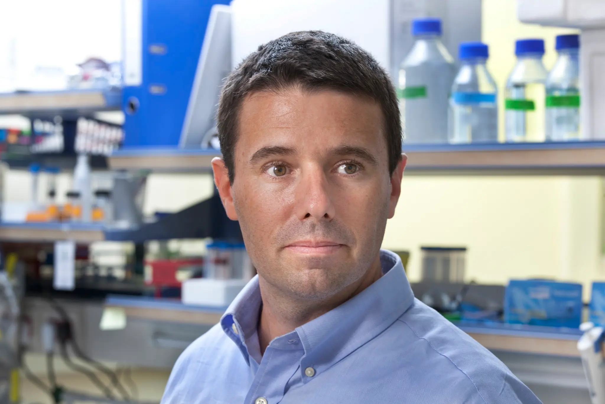 Avi Schroeder