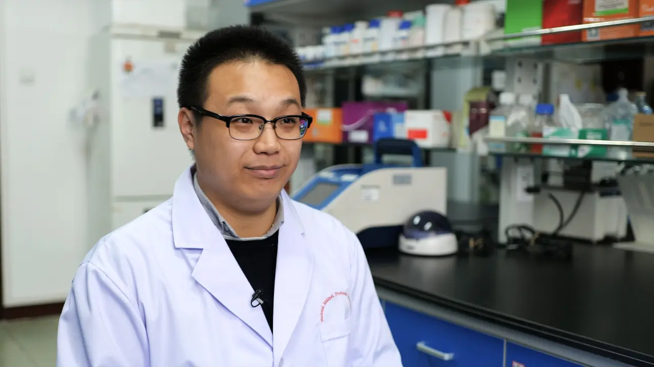 Dandan Hu