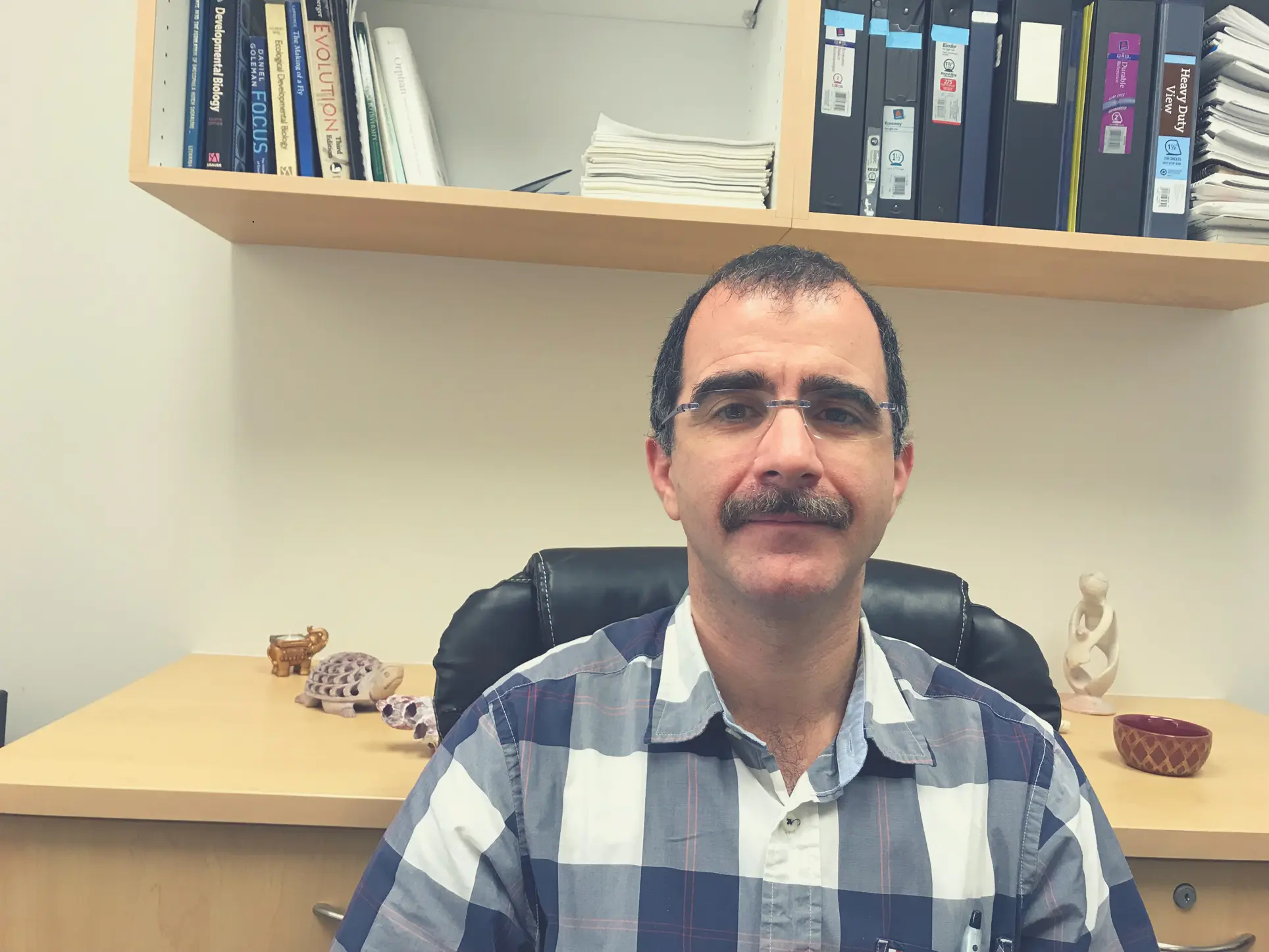 Hamed Jafar-Nejad