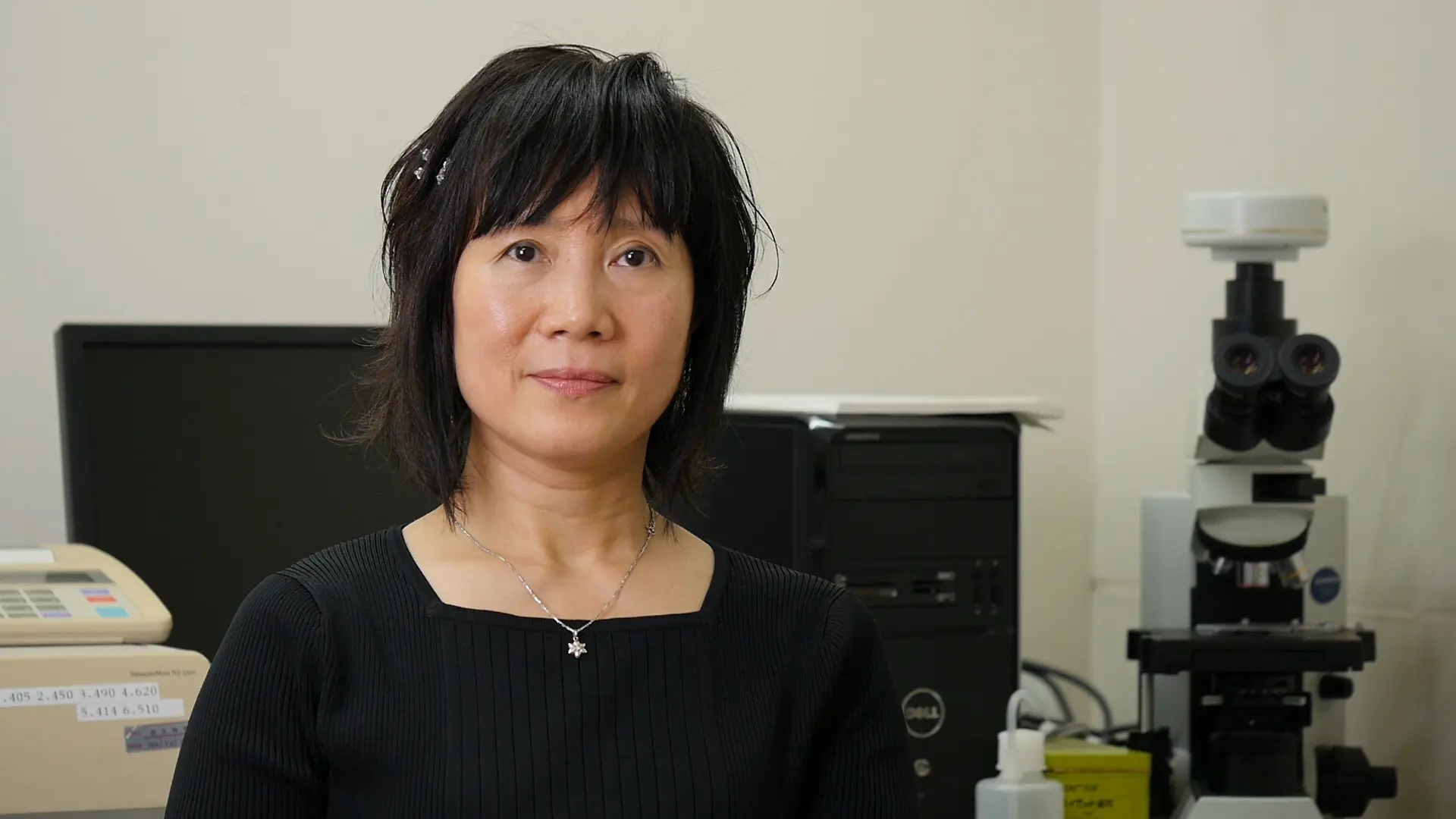 Hong Wu