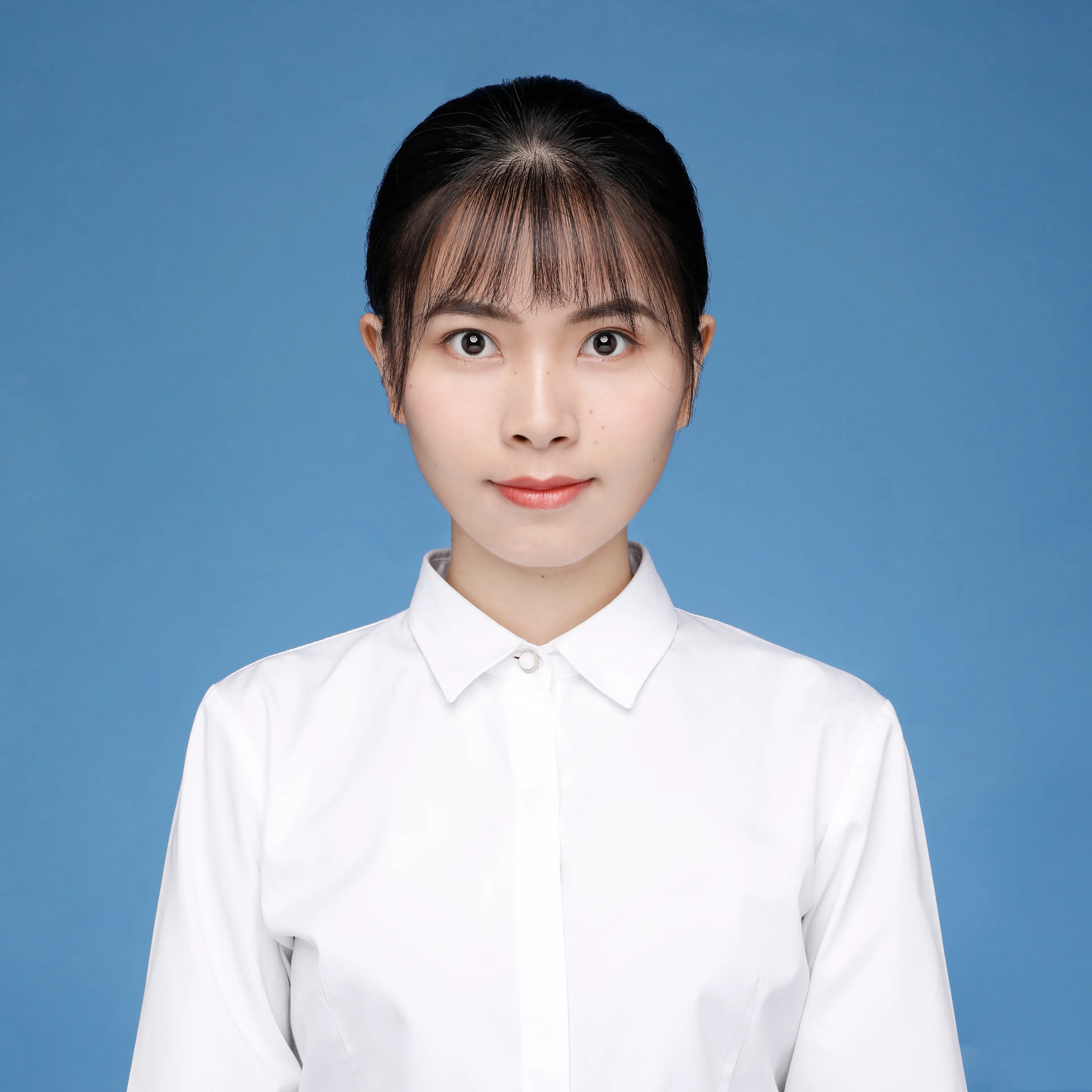 Huiqing Zhu