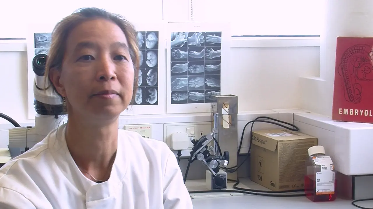Karen J. Liu