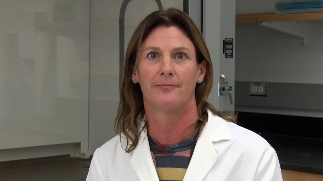 Laura C. Miller