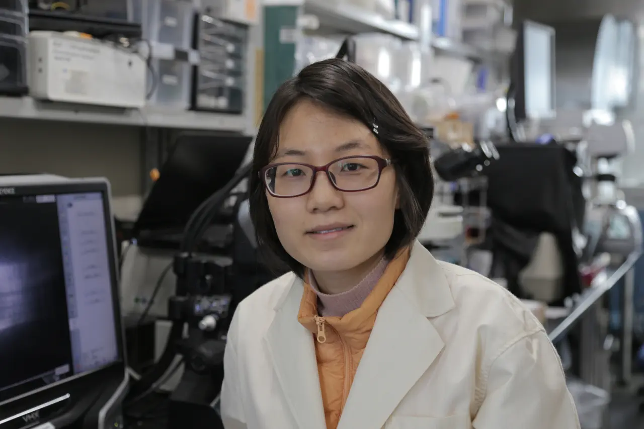 Mengyan Zeng