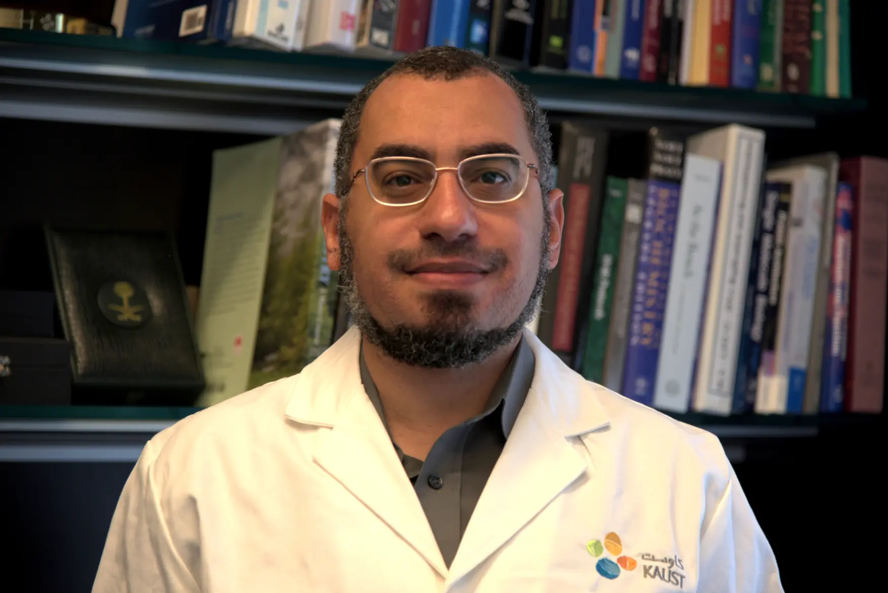 Mohamed A. Sobhy