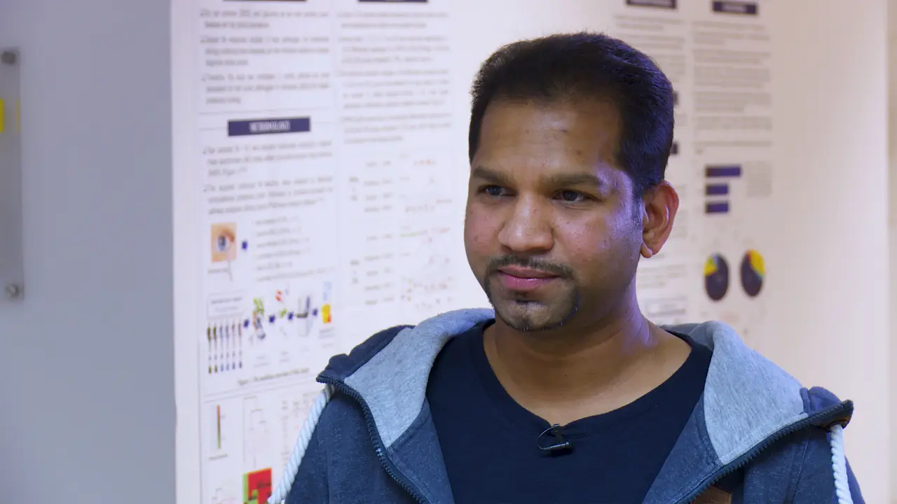Natarajan Perumal