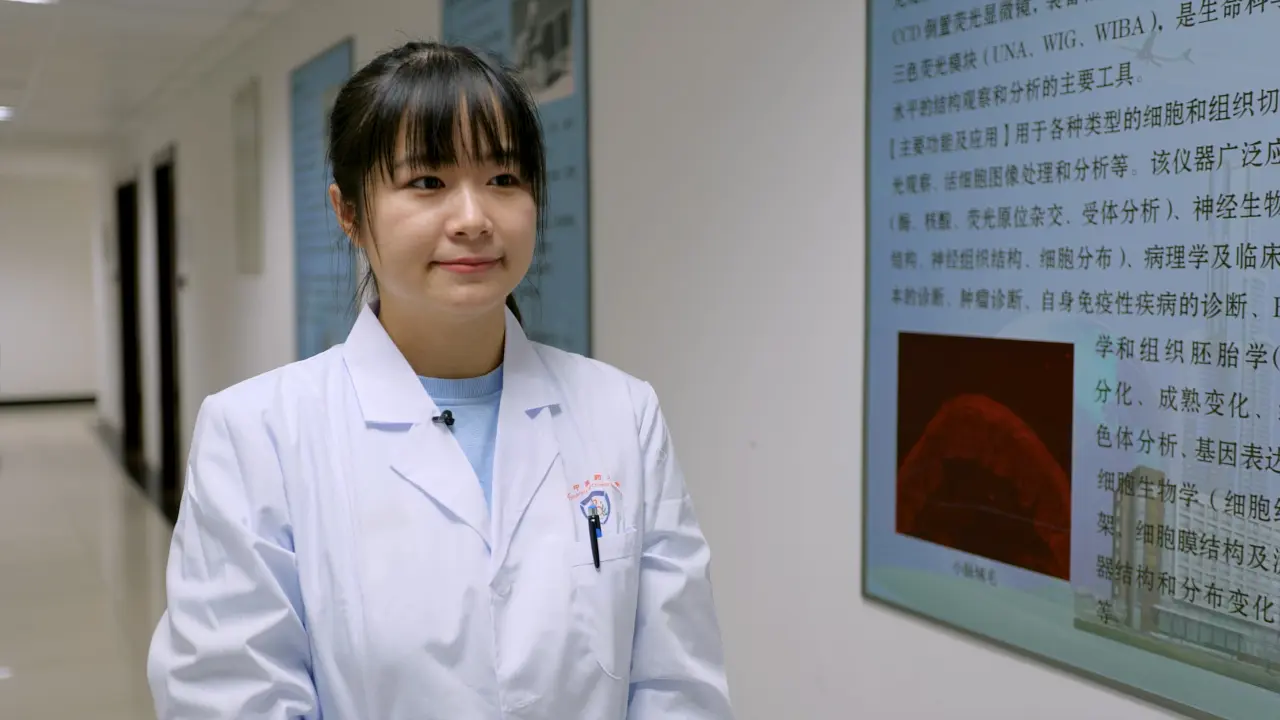 Qingyi Lu