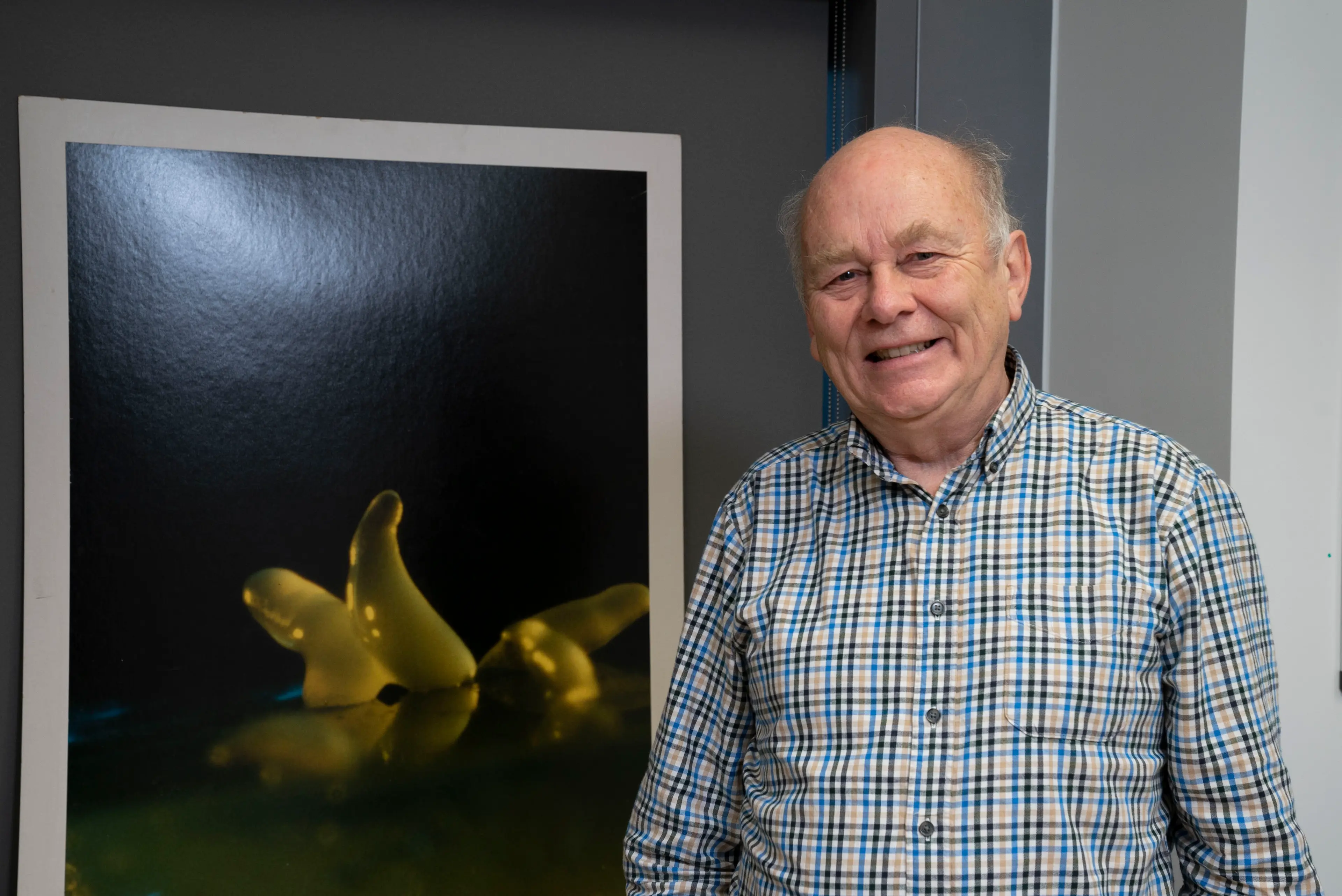 Robert R. Kay