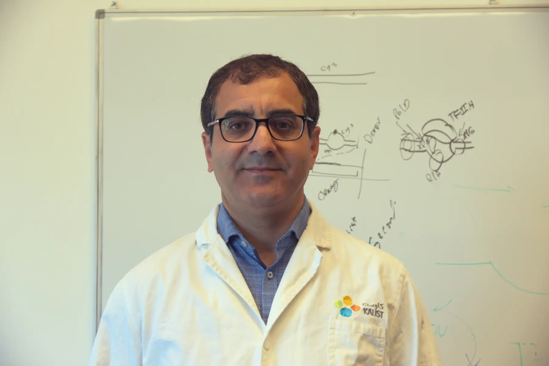 Samir M. Hamdan