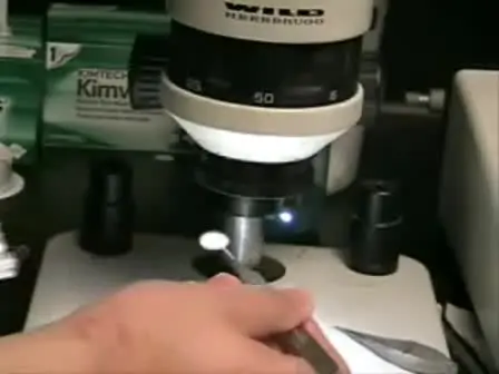 Horizontal Slice Preparation of the Retina