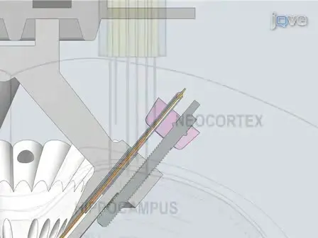 Micro-drive Array for Chronic <em>in vivo</em> Recording: Drive Fabrication