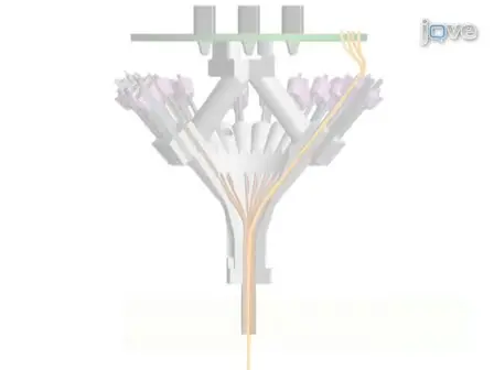 Micro-drive Array for Chronic <em>in vivo</em> Recording: Tetrode Assembly