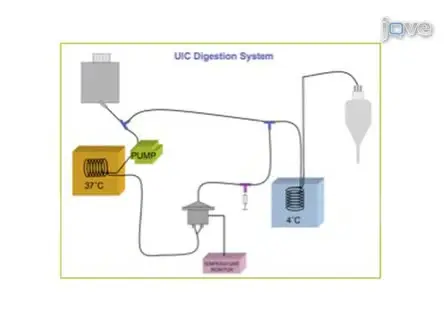 Human Pancreatic Islet Isolation: Part I: Digestion and Collection of Pancreatic Tissue