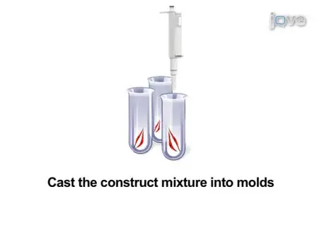 Fabrication of Myogenic Engineered Tissue Constructs
