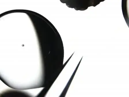 Nuclear Transfer into Mouse Oocytes