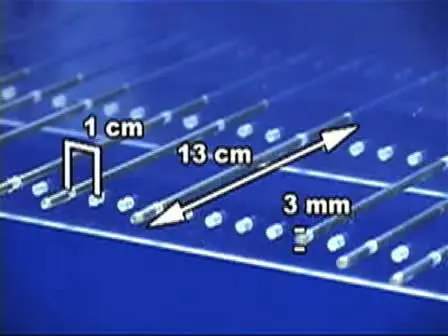 The Ladder Rung Walking Task: A Scoring System and its Practical Application.
