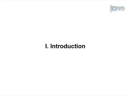 Human Pancreatic Islet Isolation: Part II: Purification and Culture of Human Islets