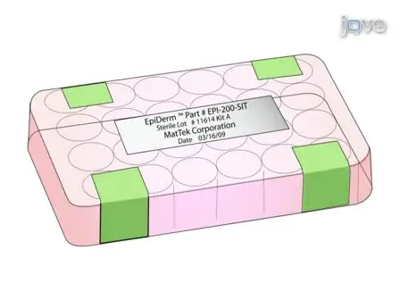 An In Vitro Skin Irritation Test (SIT) using the EpiDerm Reconstructed Human Epidermal (RHE) Model