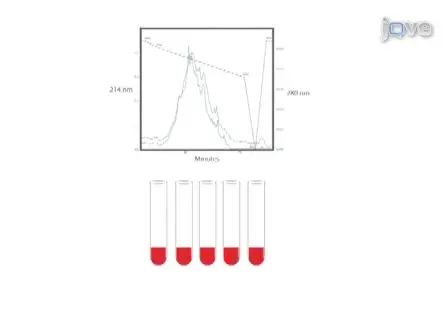 Quantitative Phosphoproteomics in Fatty Acid Stimulated <em>Saccharomyces cerevisiae</em>