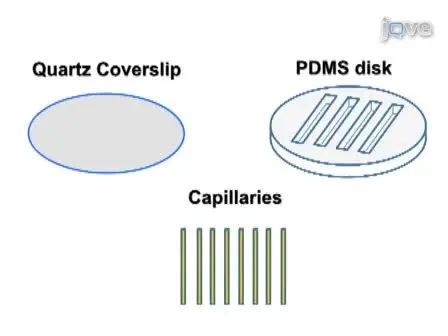 Automated System for Single Molecule Fluorescence Measurements of Surface-immobilized Biomolecules