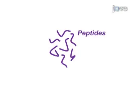 Digital Microfluidics for Automated Proteomic Processing