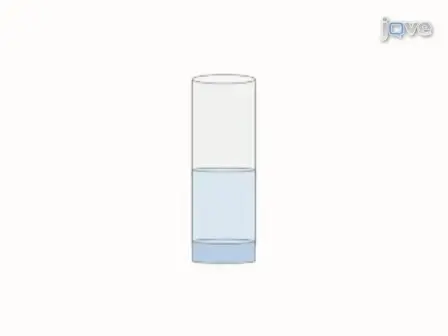 Preparation of embryos for Electron Microscopy of the <em>Drosophila</em> embryonic heart tube