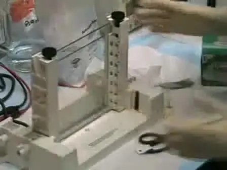 Denaturing Gradient Gel Electrophoresis (DGGE)
