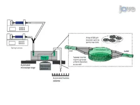 A Multi-Parametric Islet Perifusion System within a Microfluidic Perifusion Device