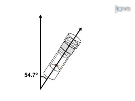 Magnetic Resonance Spectroscopy of live <em>Drosophila melanogaster</em> using Magic Angle Spinning