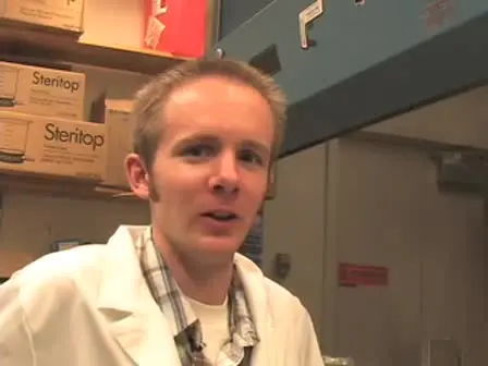 Isolation of Human Umbilical Vein Endothelial Cells (HUVEC)
