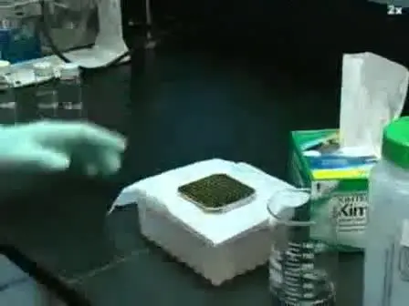 MALDI Sample Preparation: the Ultra Thin Layer Method