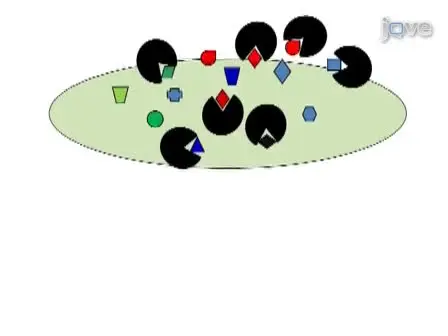 Selection of Aptamers for Amyloid &beta;-Protein, the Causative Agent of Alzheimer's Disease