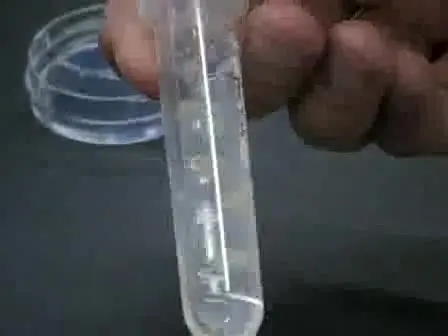 Flash Freezing and Cryosectioning E12.5 Mouse Brain