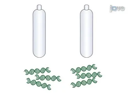 DNA Stable-Isotope Probing (DNA-SIP)