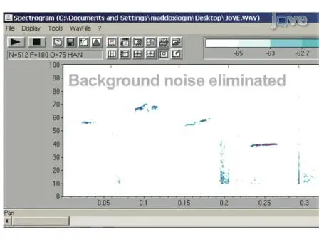 Assessment of Ultrasonic Vocalizations During Drug Self-administration in Rats