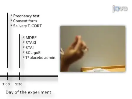 Combining Behavioral Endocrinology and Experimental Economics: Testosterone and Social Decision Making