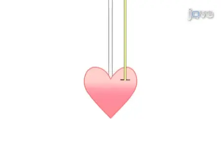 Assessment of Cardiac Function and Energetics in Isolated Mouse Hearts Using <sup>31</sup>P NMR Spectroscopy