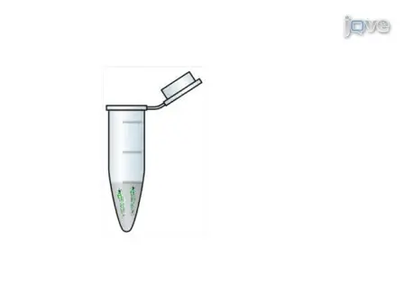 Intravenous Microinjections of Zebrafish Larvae to Study Acute Kidney Injury