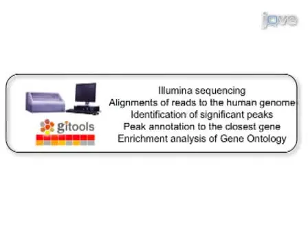 Genome-wide Analysis using ChIP to Identify Isoform-specific Gene Targets