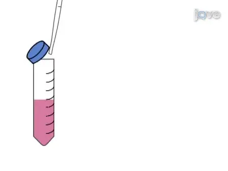 Study Glial Cell Heterogeneity Influence on Axon Growth Using a New Coculture Method