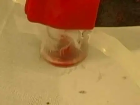 Protocol for Mosquito Rearing (A. gambiae)