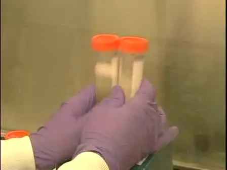 Maintaining Wolbachia in Cell-free Medium