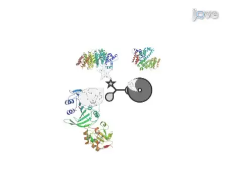 Profiling of Methyltransferases and Other <em>S</em>-adenosyl-<sub>L</sub>-homocysteine-binding Proteins by Capture Compound Mass Spectrometry (CCMS)