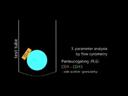 Comprehensive &amp; Cost Effective Laboratory Monitoring of HIV/AIDS: an African Role Model