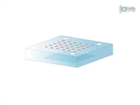 Rapid PCR Thermocycling using Microscale Thermal Convection