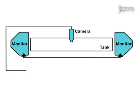 Automated Interactive Video Playback for Studies of Animal Communication