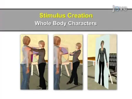 Brain Imaging Investigation of the Neural Correlates of Observing Virtual Social Interactions
