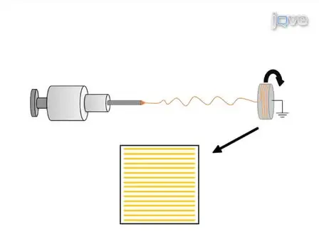 The Culture of Primary Motor and Sensory Neurons in Defined Media on Electrospun Poly-L-lactide Nanofiber Scaffolds