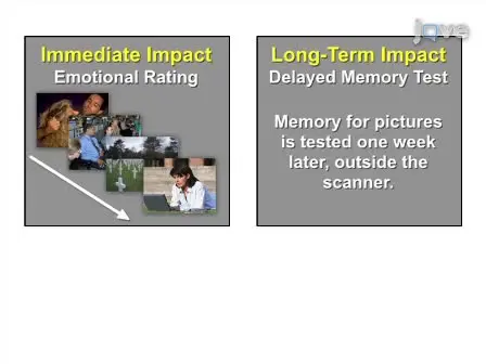 Brain Imaging Investigation of the Neural Correlates of Emotion Regulation